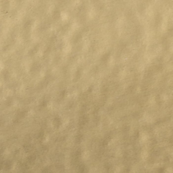 Wow! Embossing Powder - Polished Gold