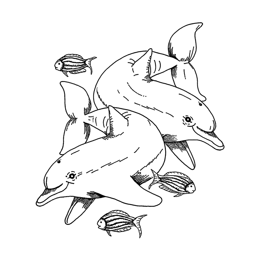 Crafty Individuals - Unmounted Rubber Stamp - 551 - Dolphins and Little Fishes