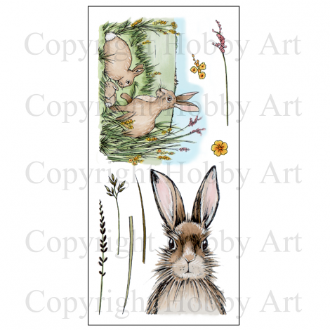 Hobby Art Stamps - Clear Polymer Stamp Set - Hares