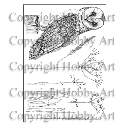 Hobby Art Stamps - Clear Polymer Stamp Set - Oliver Owl