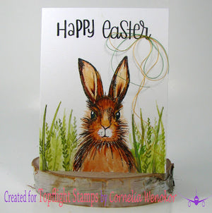 Hobby Art Stamps - Clear Polymer Stamp Set - Hares