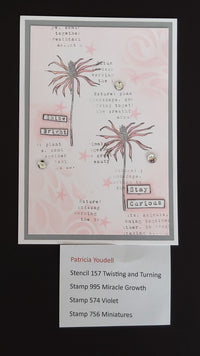 AALL & Create - A6 - Clear Stamps - 995 - Tracy Evans - Miracle Growth