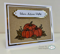Creative Expressions - A6 - Clear Stamp Set - Autumn Collection - Autumn Sentiments