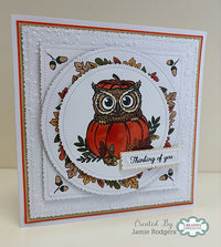 Creative Expressions - A6 - Clear Stamp Set - Autumn Collection - Pumpkin Owl