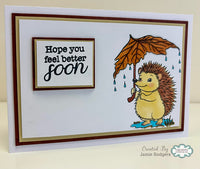 Creative Expressions - A6 - Clear Stamp Set - Autumn Collection - Autumn Sentiments