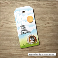 Vaessen Creative - Carla Creates - Clear Stamp Set - Guinea Pigs 4