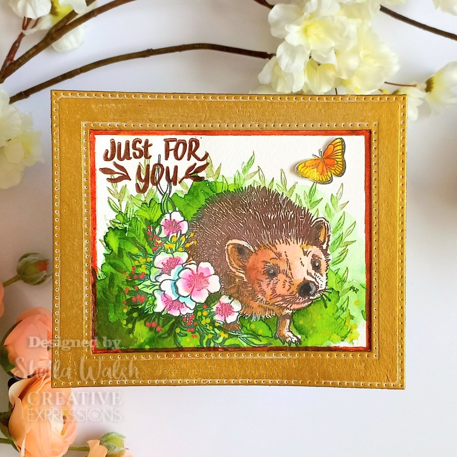 Creative Expressions - Clear Stamp Set - Designer Boutique - Over the Hedge Hedgehog