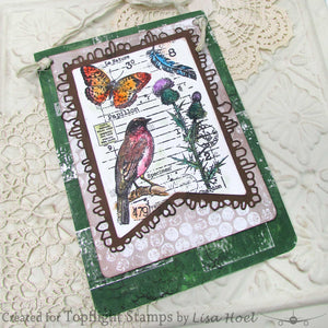 Tracy Evans Boutique Designs - Clear Stamps - A7 - Bubbles - TE34