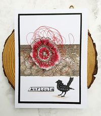 Tracy Evans Boutique Designs - Clear Stamps - A7 - Auricula