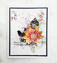 Tracy Evans Boutique Designs - Clear Stamps - A6 - New Beginnings