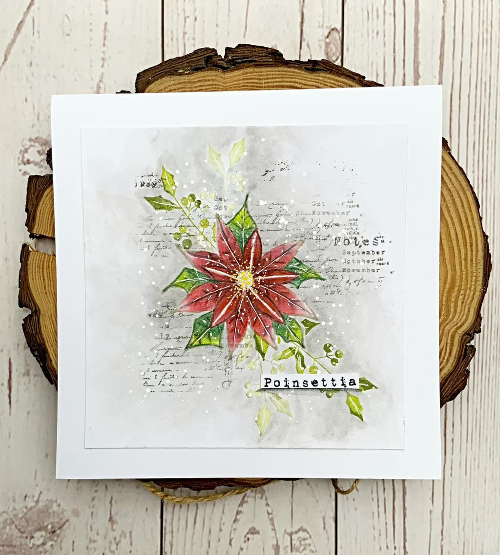 Tracy Evans Boutique Designs - Clear Stamps - A7 - Poinsettia