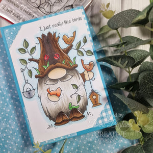 Woodware - Clear Stamps - A6 - Birdwatching
