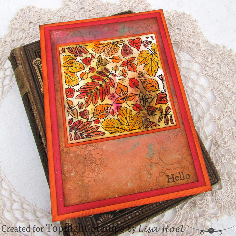 Tracy Evans Boutique Designs - Clear Stamps - A7 - Bubbles - TE34