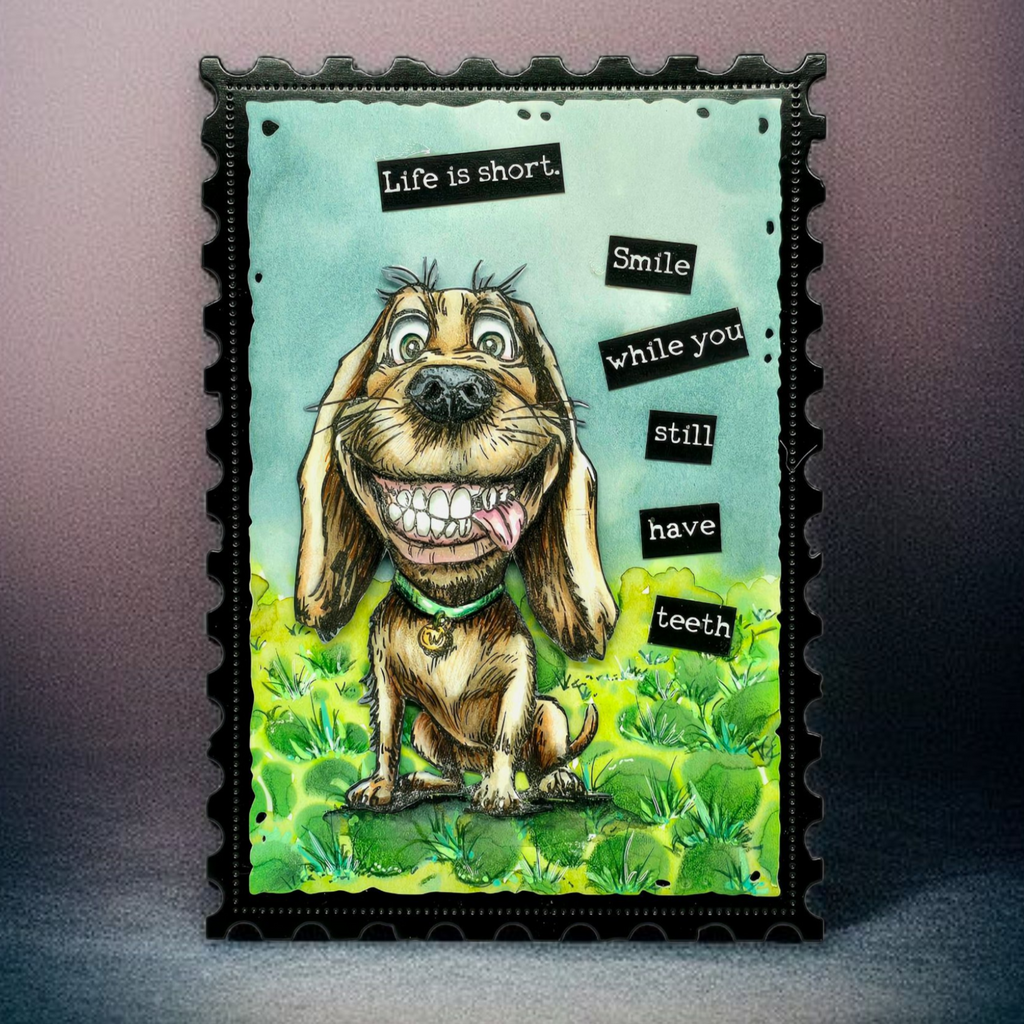 AALL & Create - A6 - Clear Stamps - 1271 - Author De Mwa - The Ruff Life