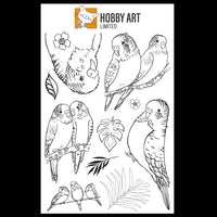 Hobby Art Stamps - Clear Polymer Stamp Set - A5 - Budgies - Parakeets