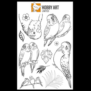 Hobby Art Stamps - Clear Polymer Stamp Set - A5 - Budgies - Parakeets