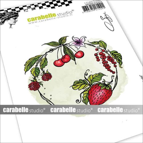 Carabelle Studio - A6 - Rubber Cling Stamp Set - Soizic - Fruit Circle