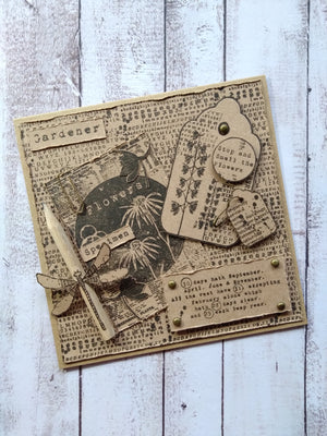 AALL & Create - A7 - Clear Stamps - Tracy Evans - 996 - Seeds of the World