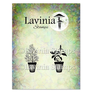 Lavinia - Clear Polymer Stamp - Dill & Sage Pots