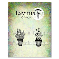 Lavinia - Clear Polymer Stamp - Rosemary &  Thyme Pots