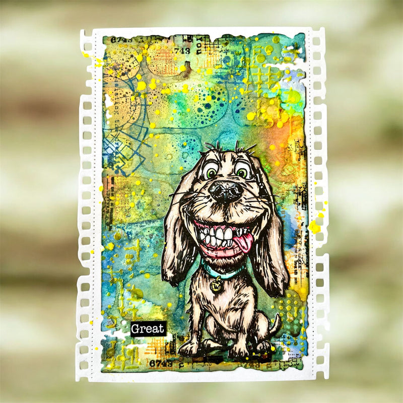 AALL & Create - A6 - Clear Stamps - 1271 - Author De Mwa - The Ruff Life