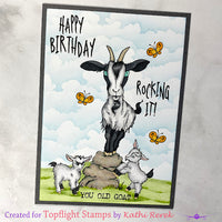 Hobby Art Stamps - Clear Polymer Stamp Set - A5 - Get Your Goat