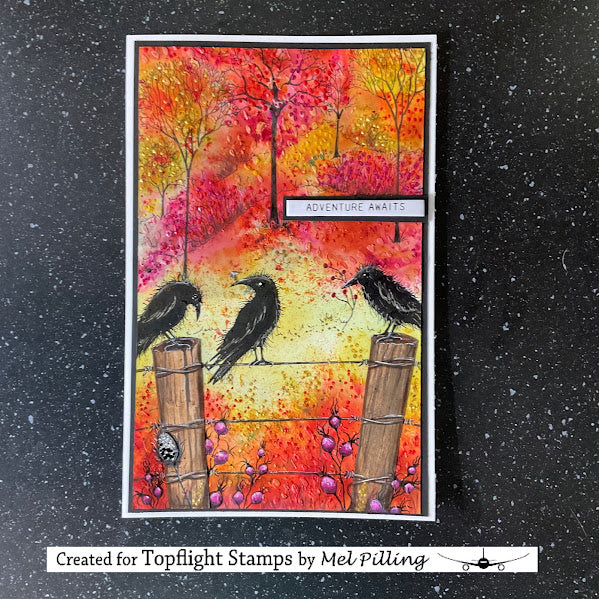 Lavinia - Crow - Chanse - Clear Polymer Stamp