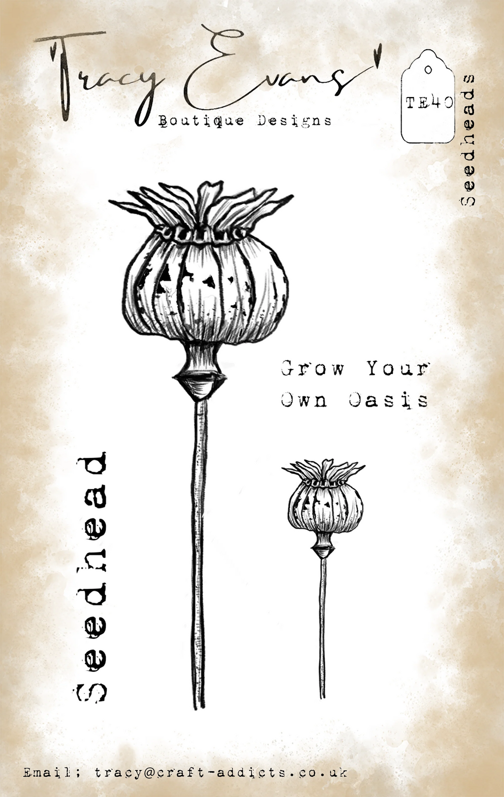 Tracy Evans Boutique Designs - Clear Stamps - A7 - Seedheads - TE40