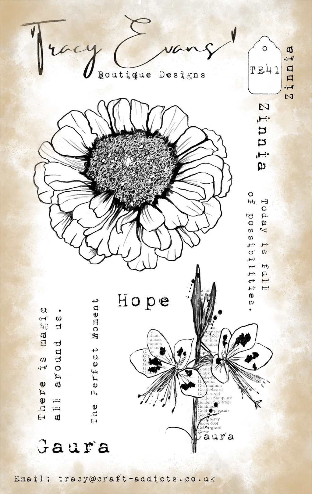 Tracy Evans Boutique Designs - Clear Stamps - A6 - Zinnia - TE41