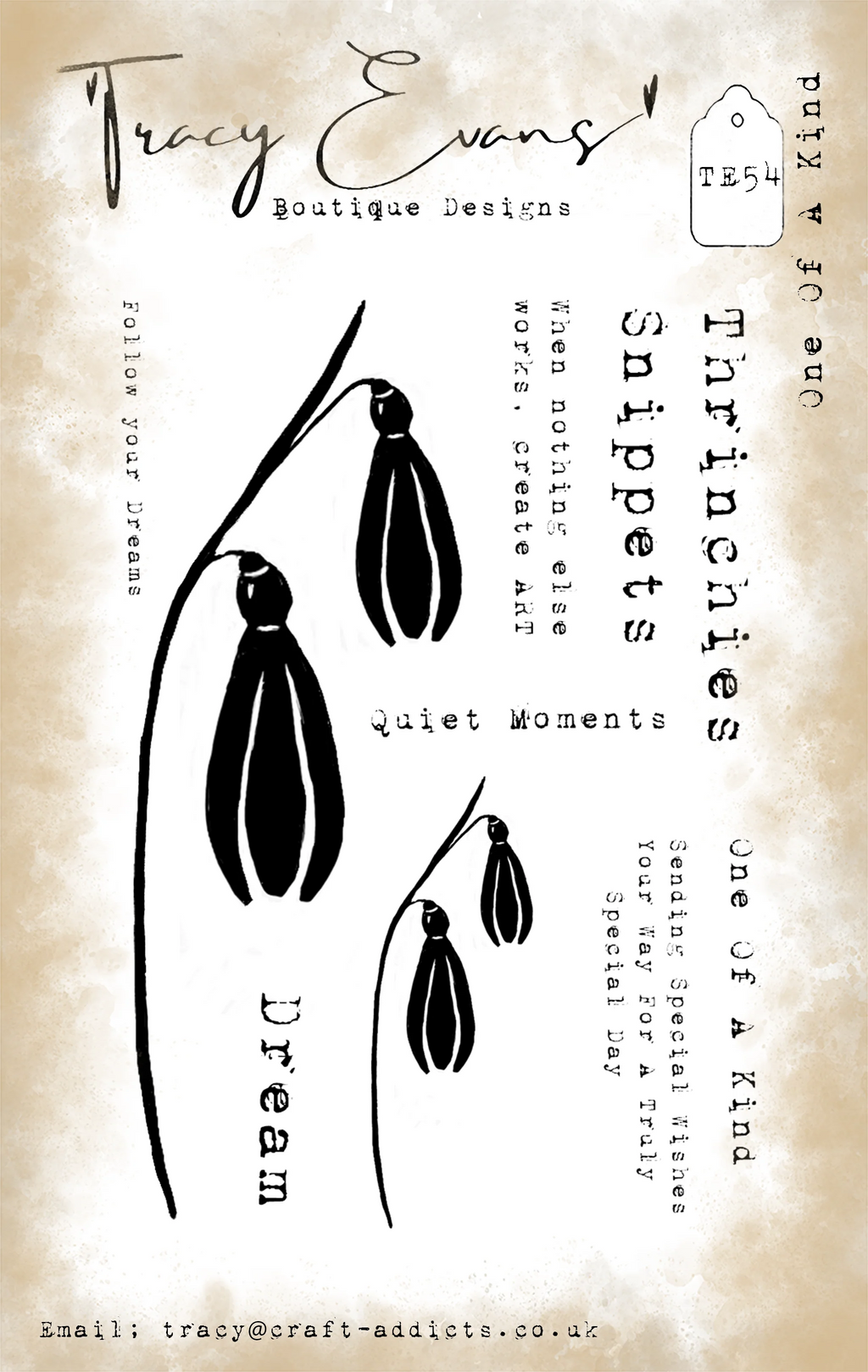 Tracy Evans Boutique Designs - Clear Stamps - A7 - One of a Kind - TE54