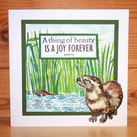 Hobby Art Stamps - Clear Polymer Stamp Set - Otters