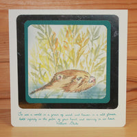 Hobby Art Stamps - Clear Polymer Stamp Set - Otters