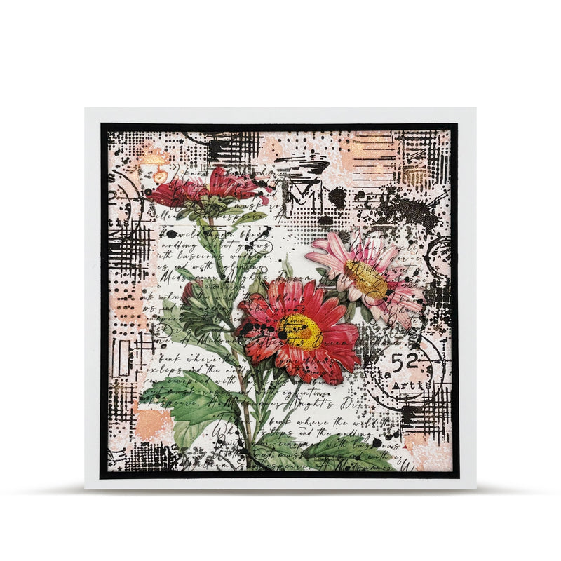 AALL & Create - A7 - Clear Stamps - 1264 - Autour De Mwa - Arts Stellar