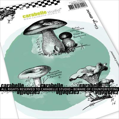Carabelle Studio - A6 - Rubber Cling Stamp Set -  Edwige Verrière - Autumn Mushrooms