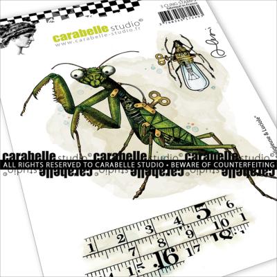 Carabelle Studio - A6 - Rubber Cling Stamp Set - Alexi - Praying Mantis & Firefly