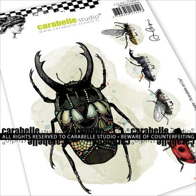 Carabelle Studio - A6 - Rubber Cling Stamp Set - Alexi - Beetle Entymology