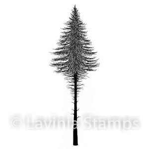 Lavinia - Clear Polymer Stamp - Fairy Fir Tree 2 (small) - LAV492