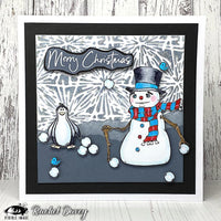 Visible Image - Stencil - Frosty