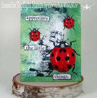 Visible Image - Clear Polymer Stamp Set - Little Ladybirds