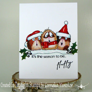 Craft Emotions - A6 - Clear Polymer Stamp Set - Carla Creaties - Guinea Pig 5