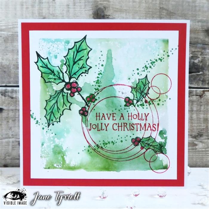 Visible Image - A6 - Clear Polymer Stamp Set - Sketched Holly