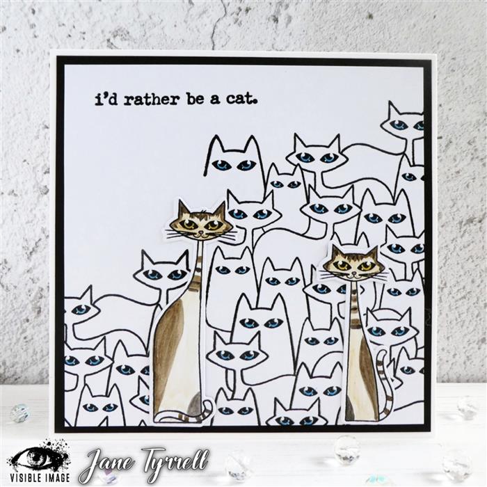 Visible Image - A6 - Clear Polymer Stamp Set - CAT-TASTIC Background