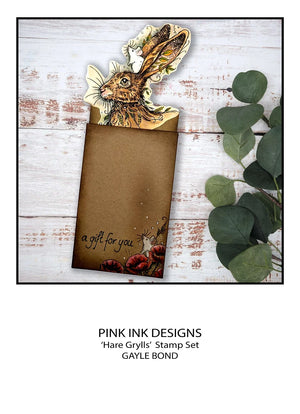 Pink Ink Designs - Clear Photopolymer Stamps - A5 - Hare Grylls