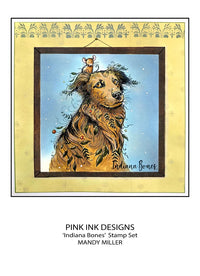 Pink Ink Designs - Clear Photopolymer Stamps - A5 - Indiana Bones