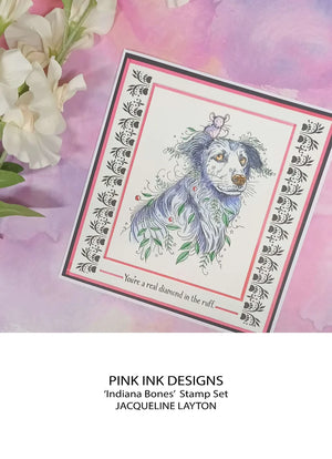 Pink Ink Designs - Clear Photopolymer Stamps - A5 - Indiana Bones