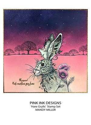 Pink Ink Designs - Clear Photopolymer Stamps - A5 - Hare Grylls