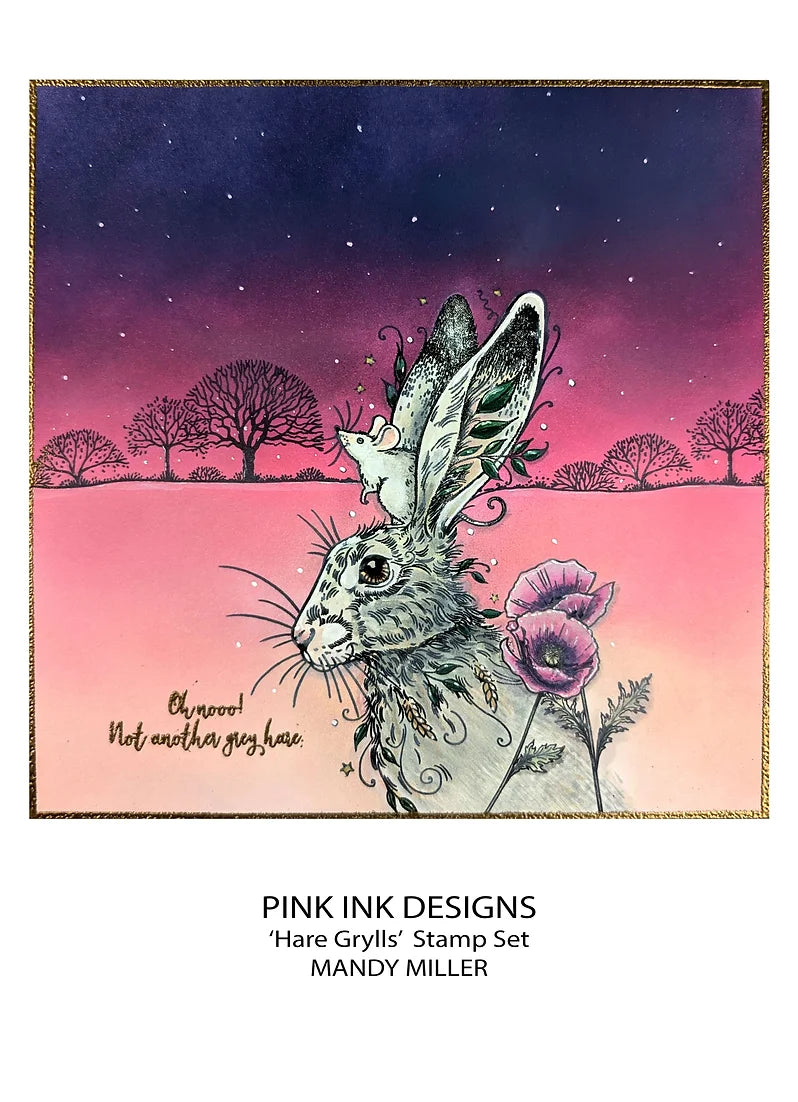 Pink Ink Designs - Clear Photopolymer Stamps - A5 - Hare Grylls