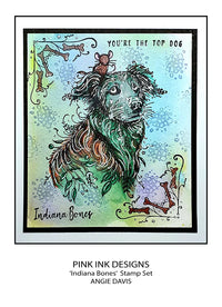 Pink Ink Designs - Clear Photopolymer Stamps - A5 - Indiana Bones