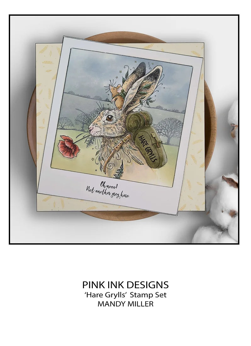 Pink Ink Designs - Clear Photopolymer Stamps - A5 - Hare Grylls