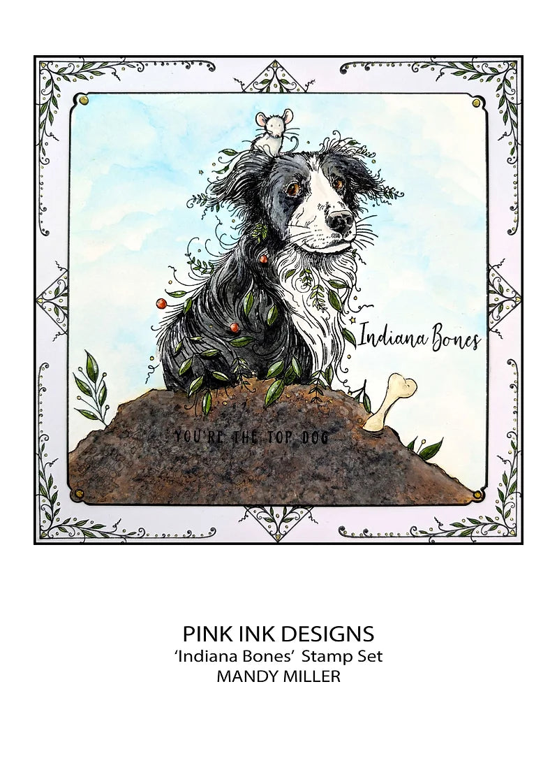 Pink Ink Designs - Clear Photopolymer Stamps - A5 - Indiana Bones